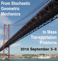 From Stochastic Geometric Mechanics to Mass Transportation Problems [banner]
